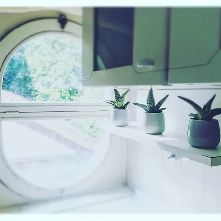 Ca La Rondine Apartment
